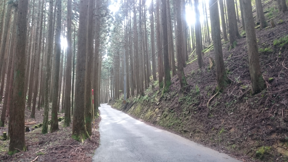 国道477号