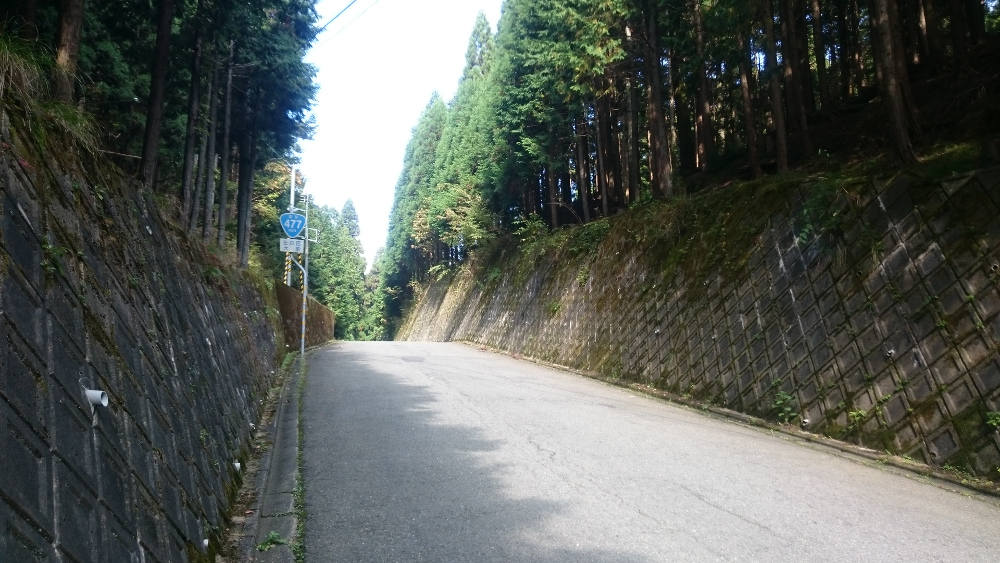 国道308号 信貴生駒スカイラインアンダーパス